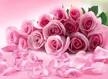 Фотообои Розовые розы 8 л. 2,68х1,96 м; VIP ТУЛА