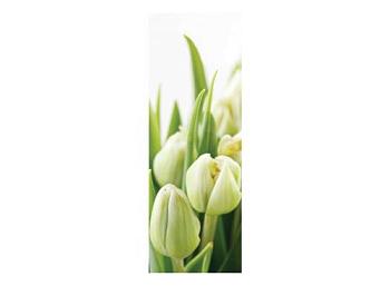 Фотообои Белые тюльпаны 1 л. 1х2,8 м; DECOCODE, 11-0160-FG